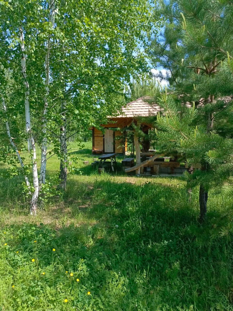 Родная пасека